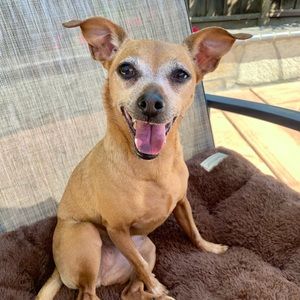 Meet your Posher, Florence